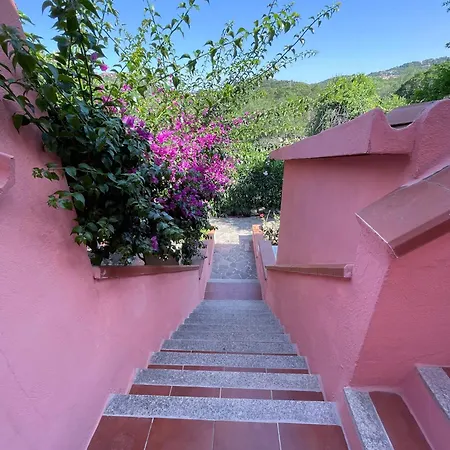 Apartmán Brorent - Mosaico Marino